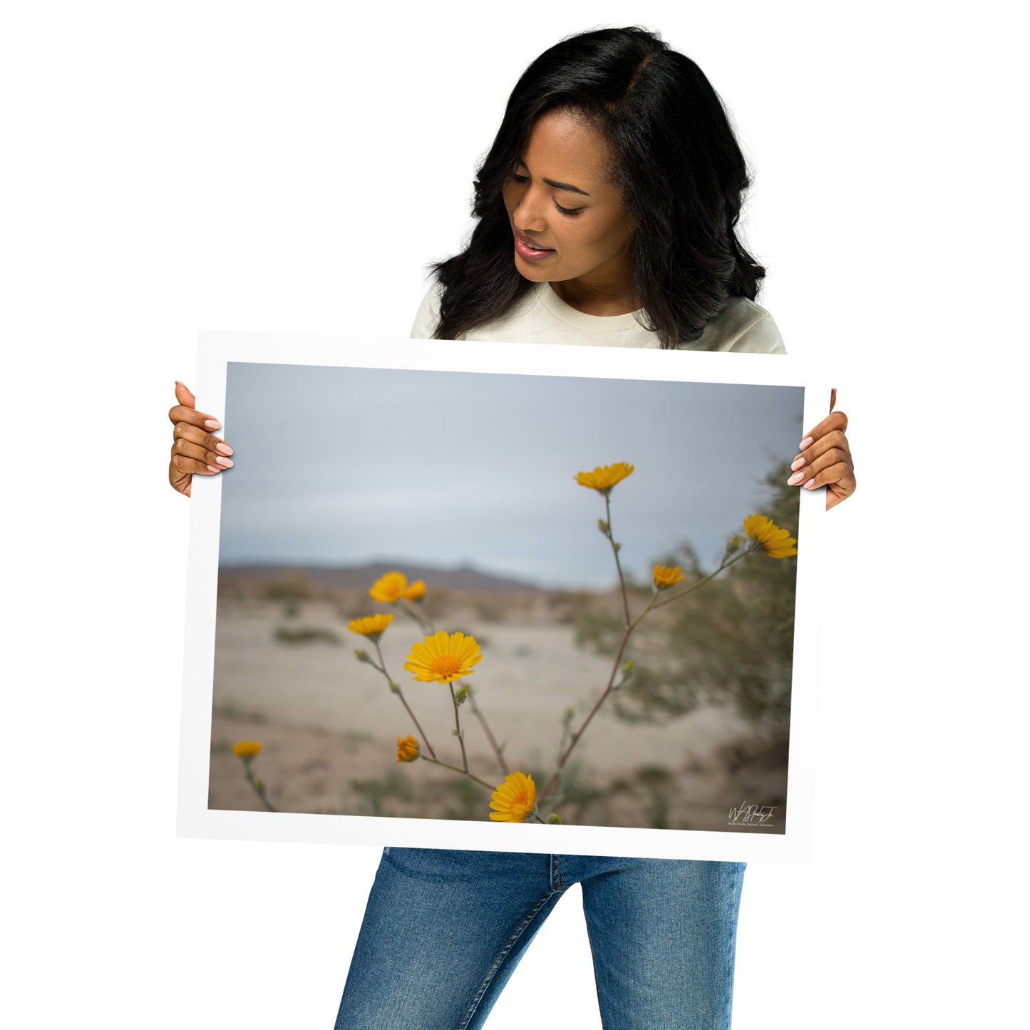 Anza-Borrego Image 7 Enhanced Matte Print