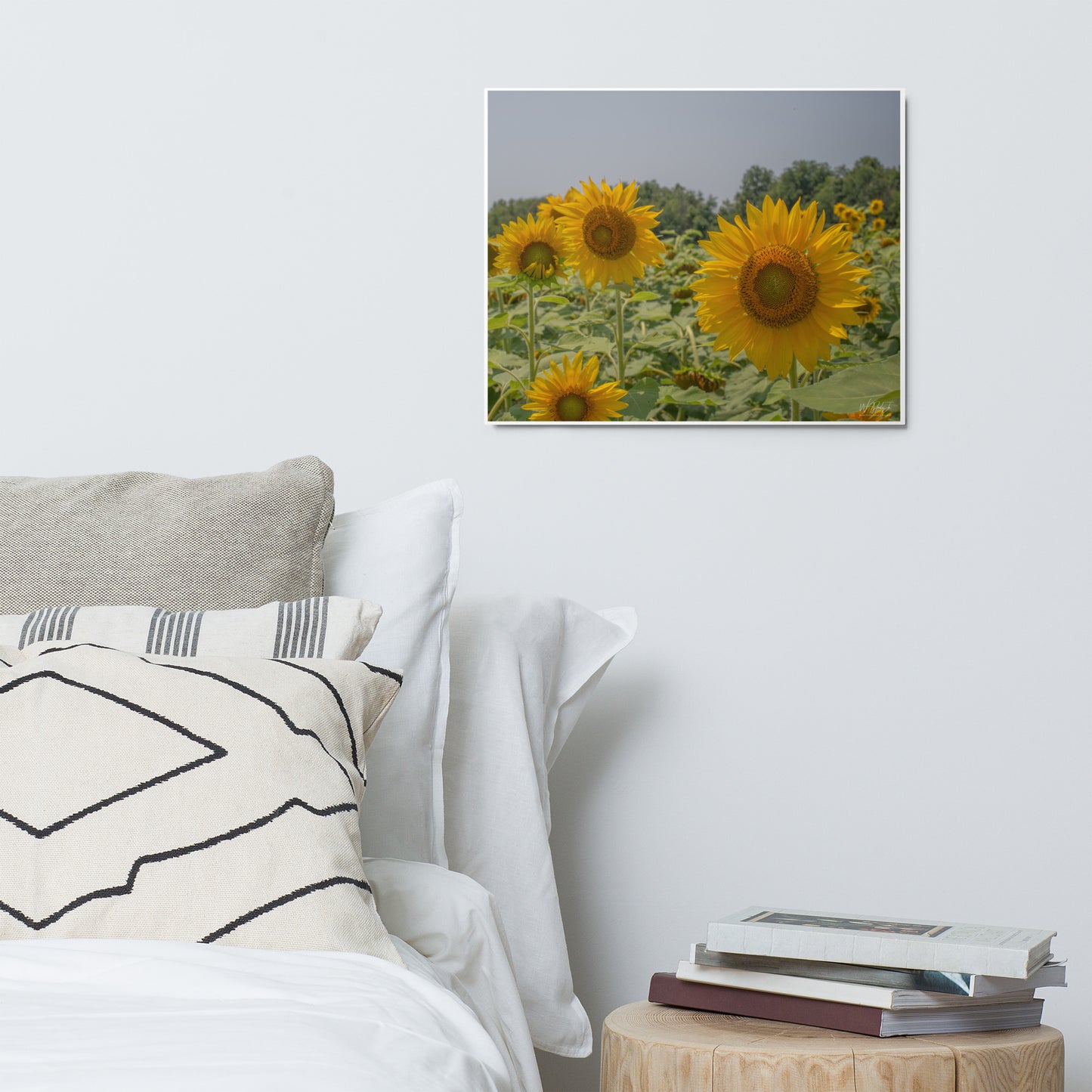 Sunflower Image 6 Metal Print