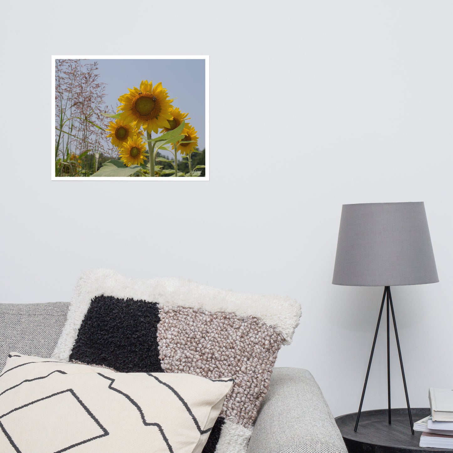 Sunflower Image 1 Premium Luster Print