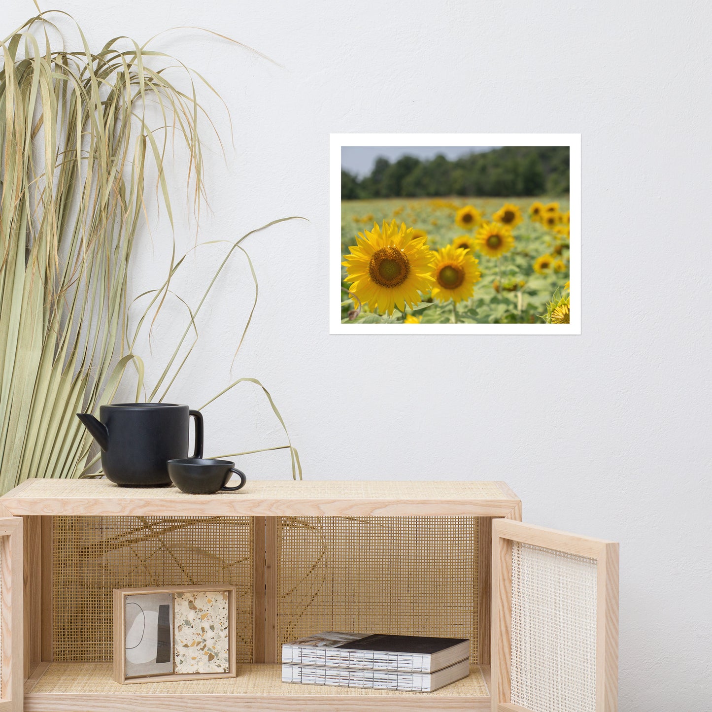 Sunflower Image 3 Premium Luster Print